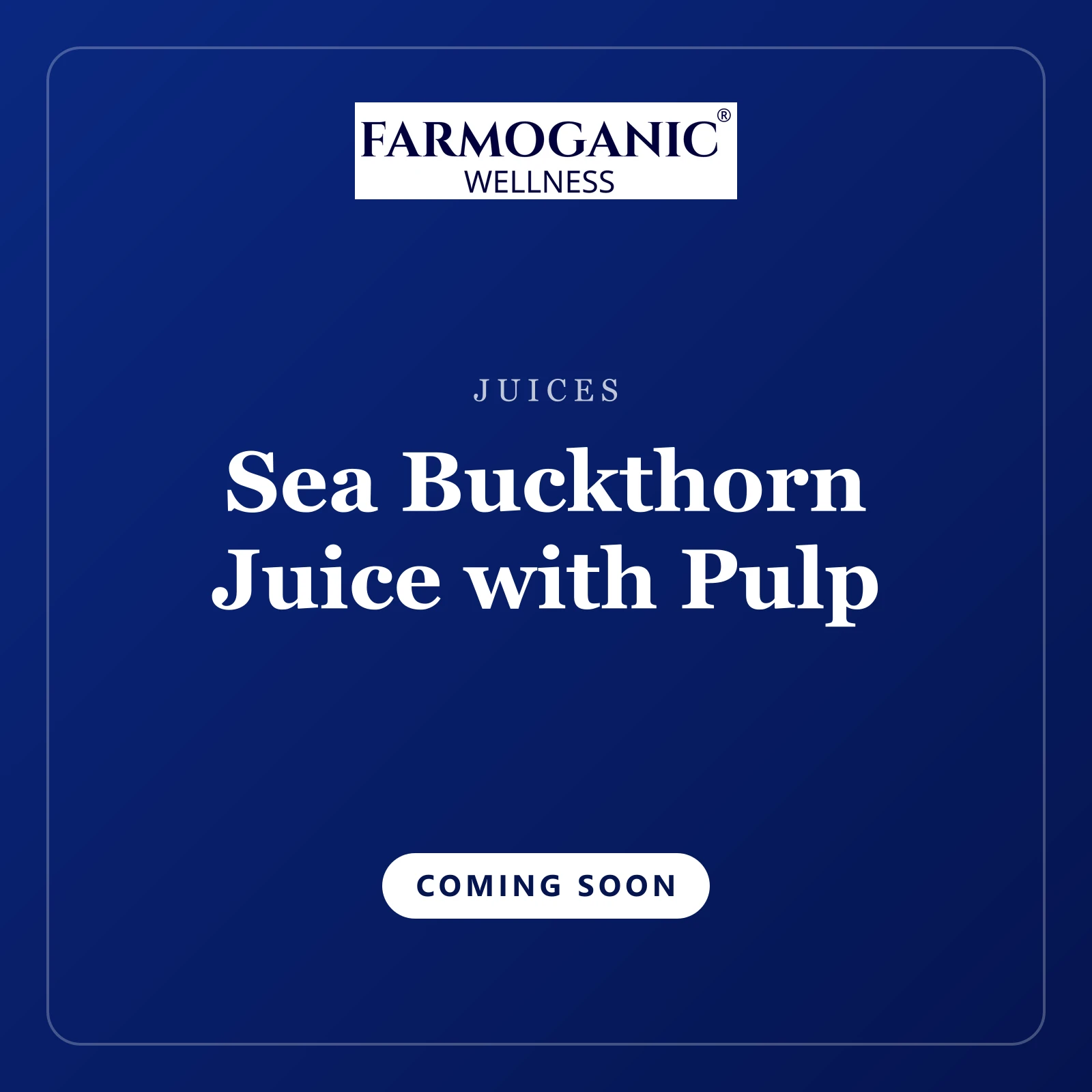 Sea Buckthorn Juice with Pulp — coming soon